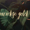 Paradise Gold – Sara Cannon Art opening at TrimTab Brewing June 2!